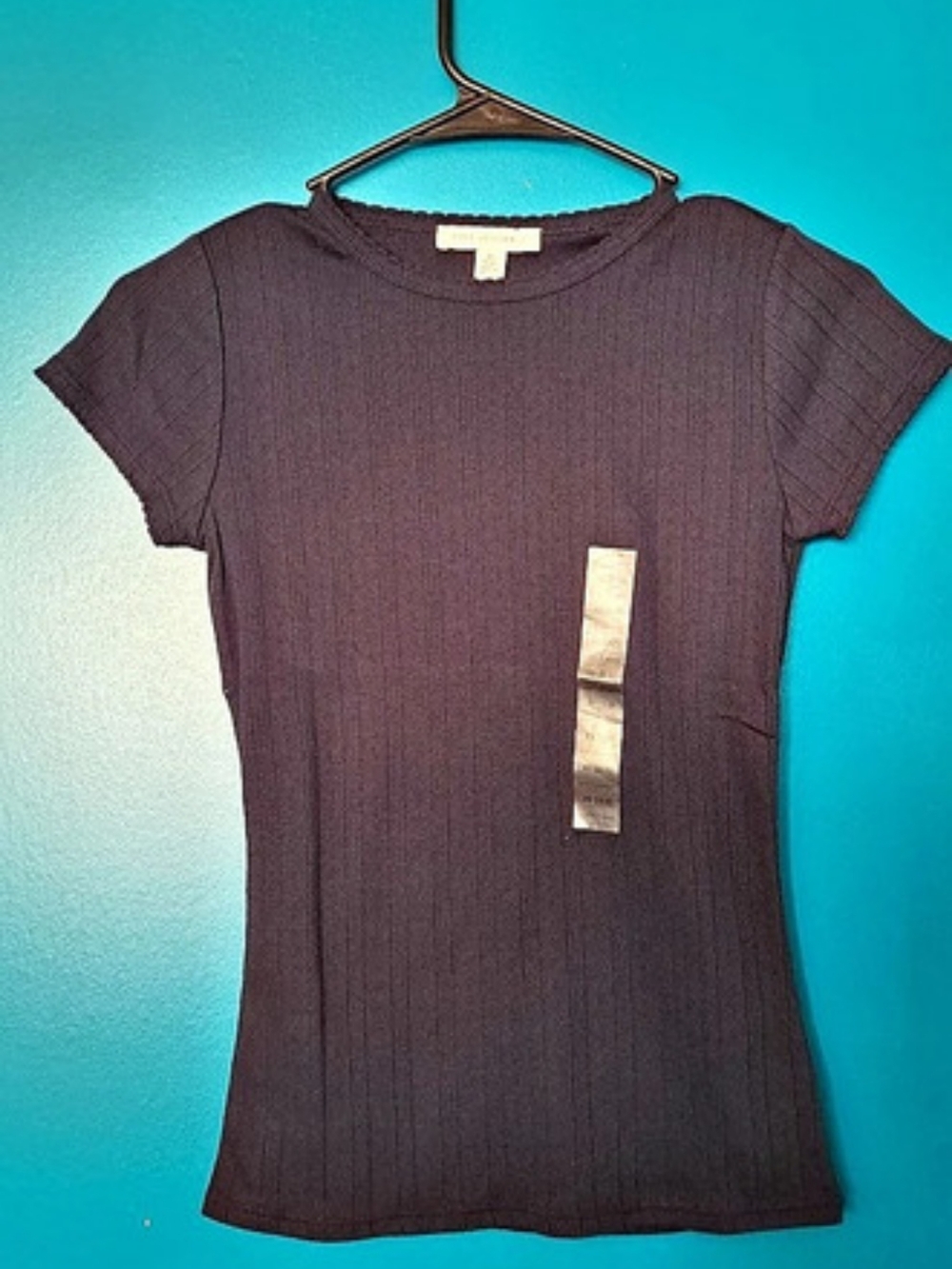 Free Assembly Pointelle Mini Tee Short Sleeve Top Blue XS